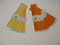 Jungle Safari Birthday theme Wristbands